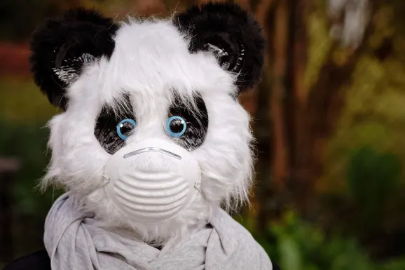 ΣλοτςΓουιν Καζίνο Υποστηριξη